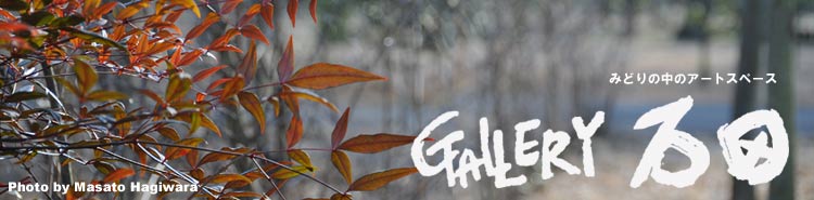 �M�������[�Γc